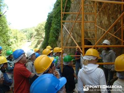 Yacimiento Atapuerca - Atapuerca y Alto Oca; madera tejo